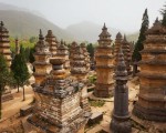 Bosque de Pagodas